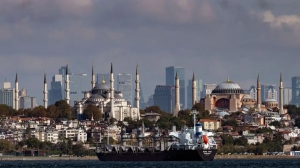 The Barbados-flagged ship"Nord Vind" coming from Ukraine loaded with grain is anchored for inspection in Istanbul, on 11 October, 2022. Source: AFP, Getty / (Photo by YASIN AKGUL/AFP via Getty Images)